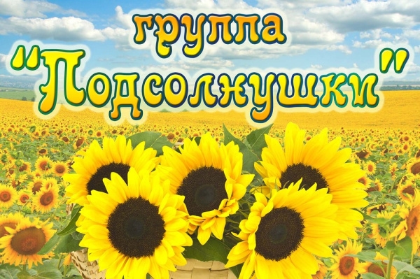 группа Подсолнушки